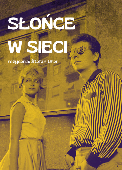 Słońce w sieci