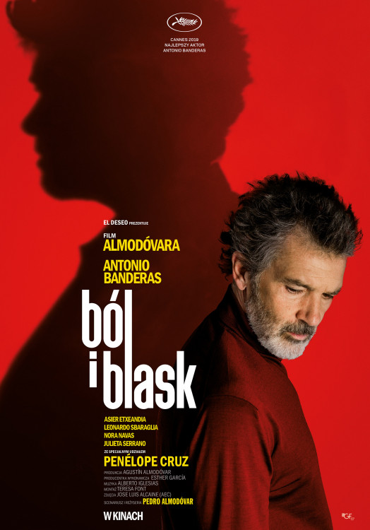 Ból i blask | 6 razy Pedro